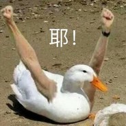 鼎哥直呼顶不住