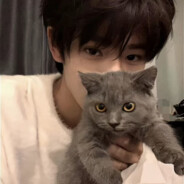 她说内阁梅卧霜