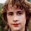Pippin Le Pompeur