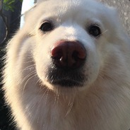 在江湖深度呼吸