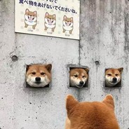 马嘉祺暴力肘击科比