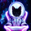 Space Meowboy