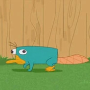 这不是蟹堡王是派大星