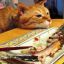 |u7|Sushi