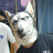 狗头军师爱拉AK