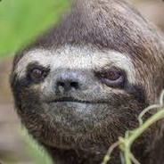 Sloth
