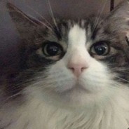 LetPlayabc's Avatar