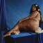 Lizzo