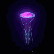 Seranova_Dromeda