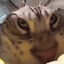 Rengo