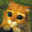 ***{SGN} Hehe Boy***