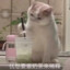 白酉