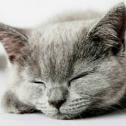 人生风景在游走