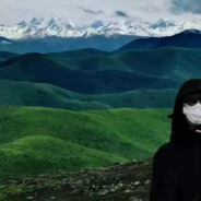 爱吃牛奶味的饼干