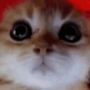 PurpleEagle's avatar