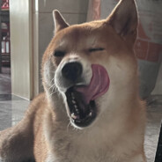 逮住一位抹茶先生