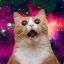 Sassafrassian Kitten from Space