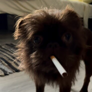 дима фьюти бьюти