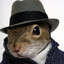 Mr.Squirrel