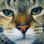 Moon_nuggets