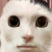 adamrozkurwiacz