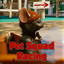 Pet Squad Racing