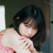 校风叶落xiaofengyeluo