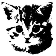 Z3ck - steam id 76561199814349725