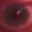 cerrade