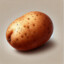 Potato (Solanum tuberosum)