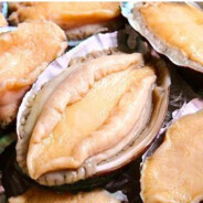 翻斗花园胡图图