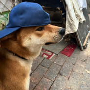 你有点紧张同学