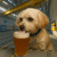 I love beer!