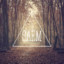 SAEM