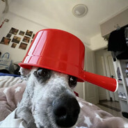 一流律师斯内克