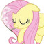 fluttershy fan