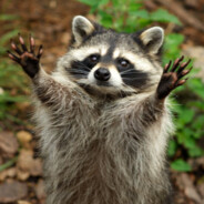 Rac