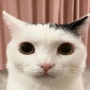 koalla_lala
