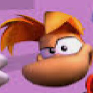 RayMAN