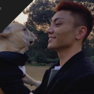 深情不改必坠死海