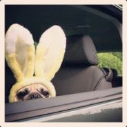 Sal Zeta - steam id 76561197968820070