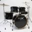 Bas24 &quot;Never Dead&quot;