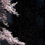 下雨的那天见面