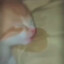 lop