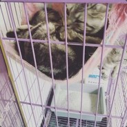 DOTA如戏全靠演技