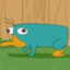 An Inconspicuous Platypus