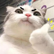 再说一遍这里是麦当劳