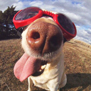 NirmalKumarPalaniSamy