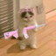 meowmeow