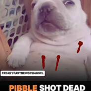 RIP Pibble